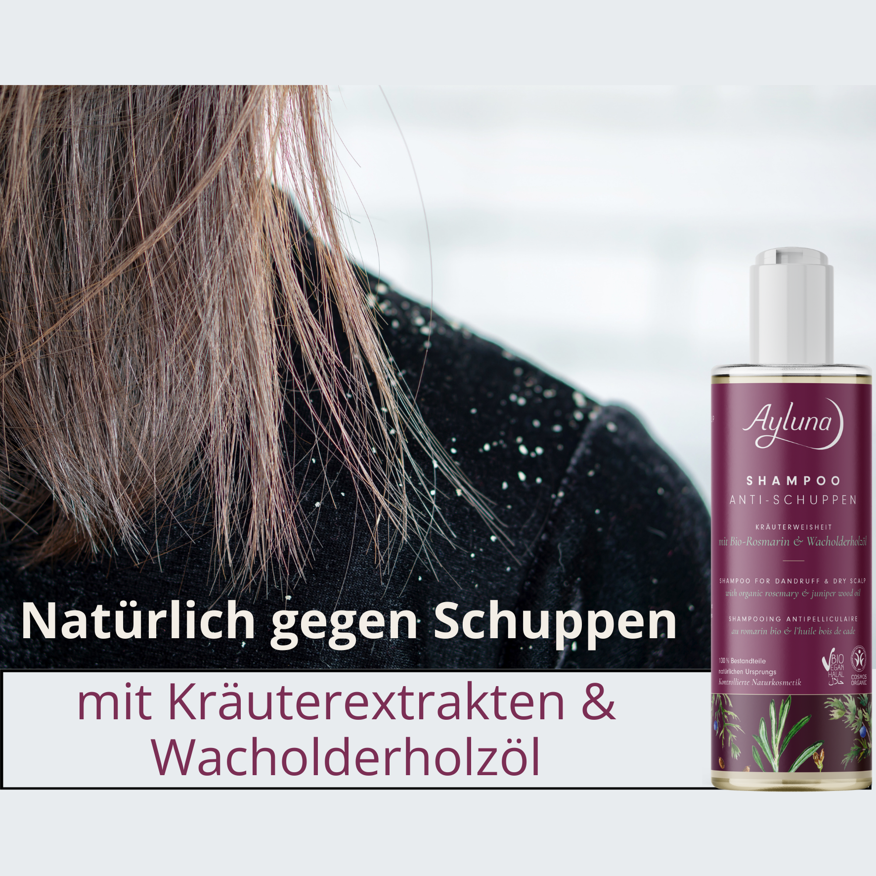 Pflanzenpower gegen Schuppen – ganz ohne Chemie! Unser Ayluna Shampoo Anti-Schuppen Kräuterweisheit setzt auf die gebündelte Kraft vier pflanzlicher Wirkstoffe, die deine Kopfhaut beruhigen und Schuppen auf natürliche Weise regulieren.